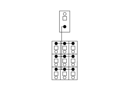 Módulo de Distribuição - 1 potencial - 9 Conexões - 830-800/000-303